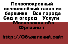 Почвопокровный, вечнозелёный газон из барвинка - Все города Сад и огород » Услуги   . Московская обл.,Фрязино г.